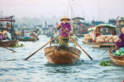 Mekong Delta 