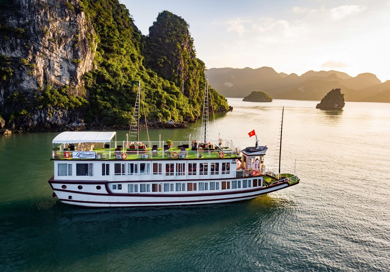 Lavender Cruise
